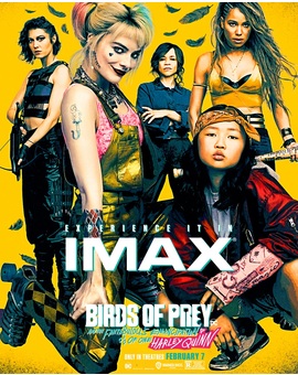 Póster de Aves de Presa 