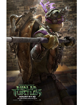 Teenage Mutant Ninja Turtles, Donnatelo ¿Cual es vuestro orden de Tortugas favoritas?