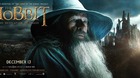 El-hobbit-la-desolacion-de-smaug-poster-gandalf-c_s