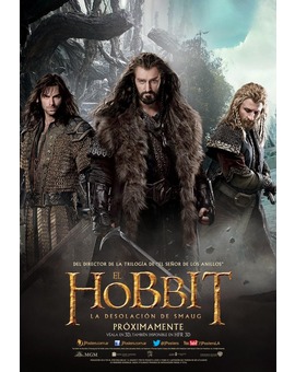 El Hobbit. La Desolación de Smaug. Poster Enanos.