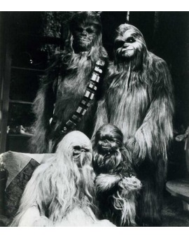 Esta es la foto que llevaba CHEWBACCA en la cabina del HALCÓN MILENARIO.