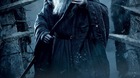 El-hobbit-la-desolacion-de-smaug-poster-gandalf-c_s