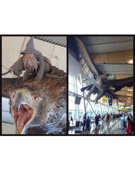 GANDALF, GWAIHIR y las demás ÁGUILAS vuelan en el aeropuerto de Wellington. Montaje de WETA WORKSHOP.
