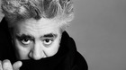 Las-mejores-peliculas-del-ano-para-pedro-almodovar-c_s