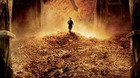 El-hobbit-la-desolacion-de-smaug-poster-c_s