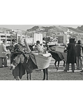 Así llegaba al set de Túnez parte del material, ¡en burro! STAR WARS IV