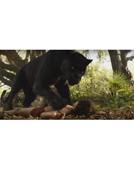 CRÍTICA DE "EL LIBRO DE LA SELVA" (CON LIGEROS SPOILERS)