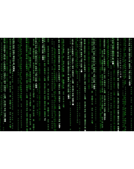 The matrix has you