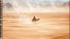 Lawrence-de-arabia-edicion-inglesa-c_s