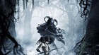 Busco-custom-para-el-blu-ray-de-pathfinder-con-esta-portada-alguien-la-tiene-c_s