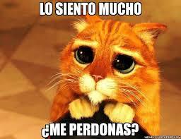 ¿Quisiera pedir disculpas?