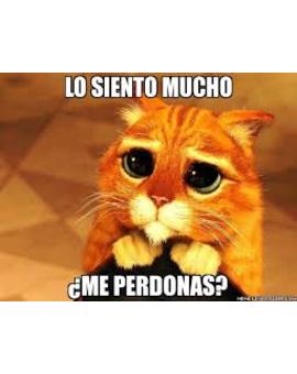 ¿Quisiera pedir disculpas?