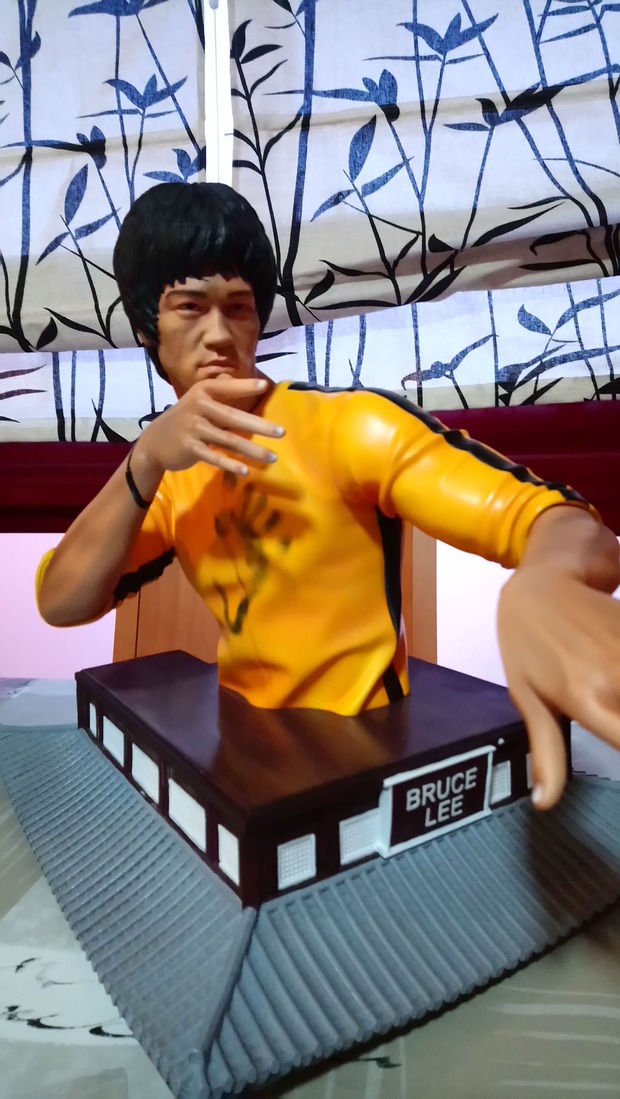 Ya es mía... Bruce Lee esta en casa